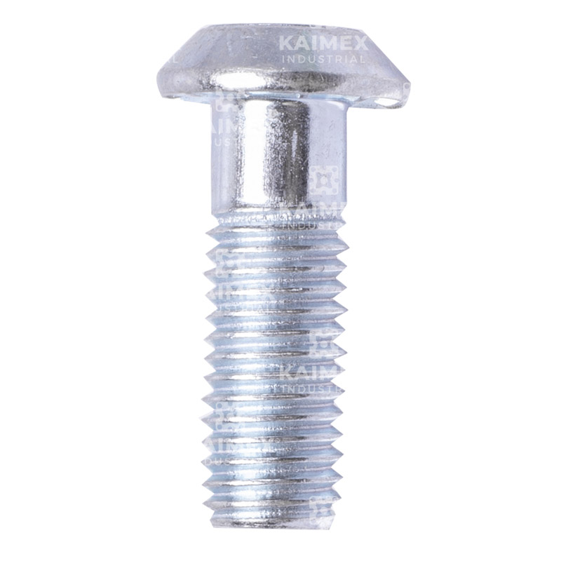 Autorroscable m12